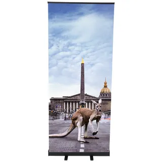 Roll Up Standard plus black 100x200 cm