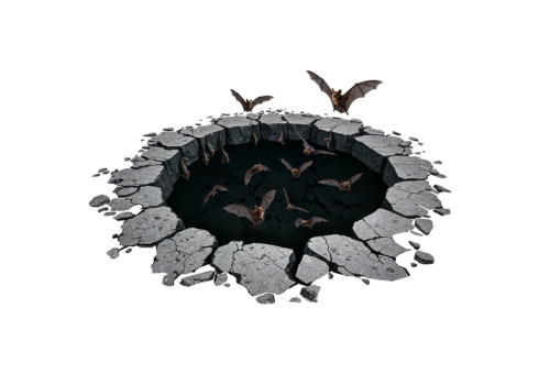 3D samolepky na zeď a na auto — Netopýři